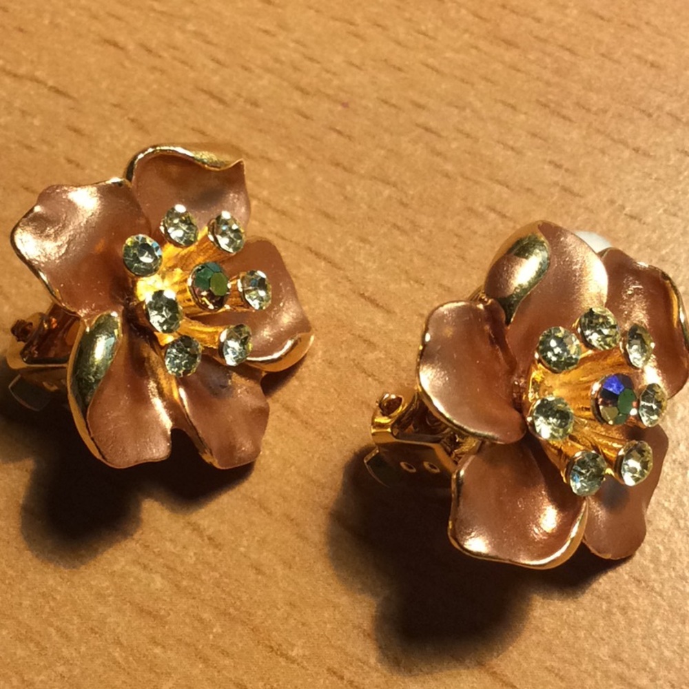 Vintage Beautiful Clip Earrings